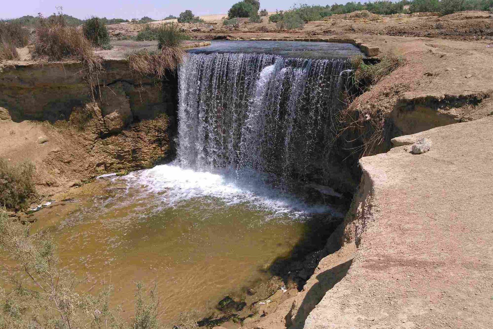 شركة فايد للسياحة بالفيوم