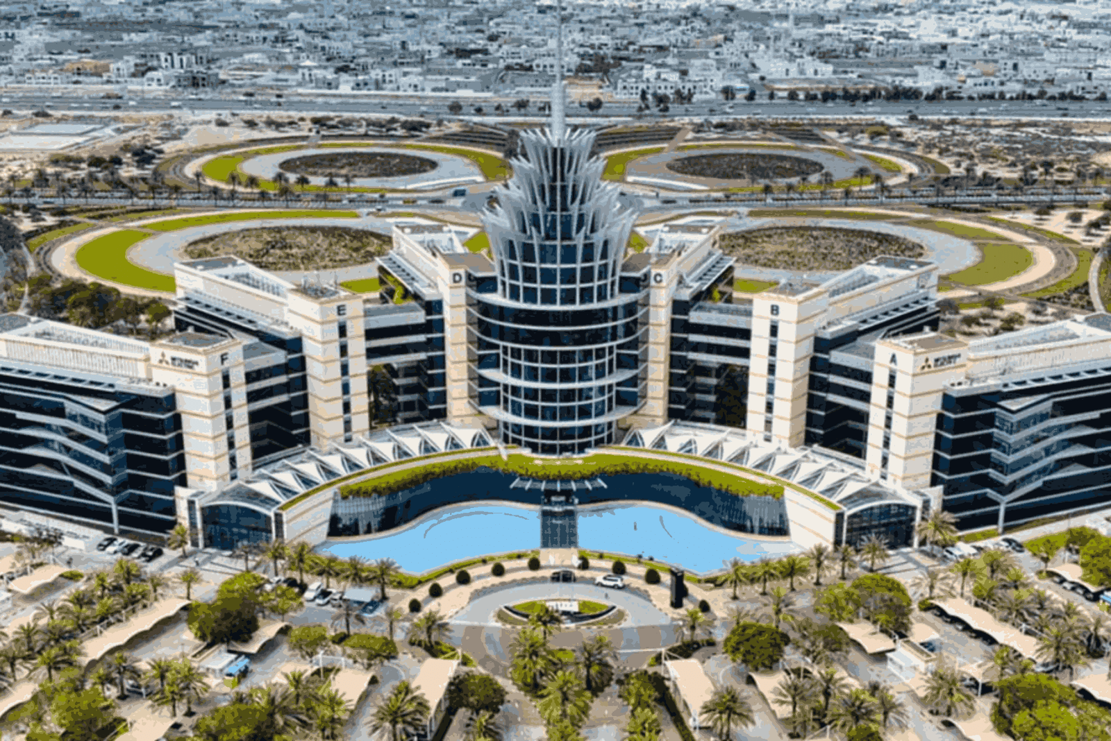 How to Check Company Ratings in Dubai 2025