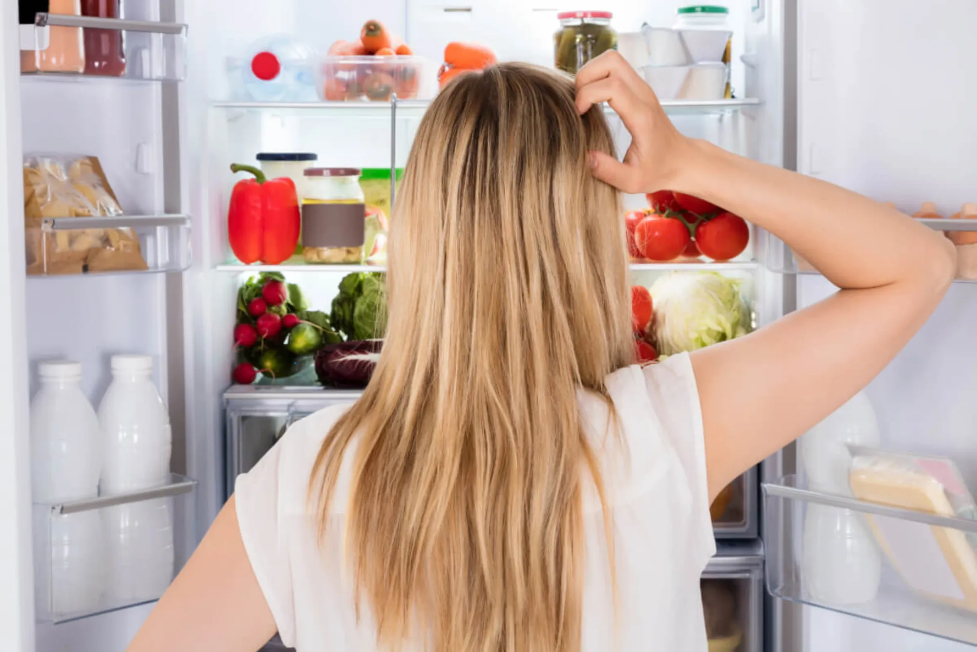 Why Refrigerators Make Clicking Noises