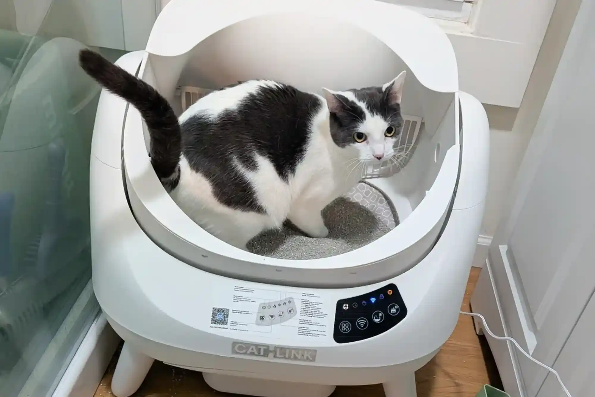 Best Top-Entry and High-Sided Litter Boxes for Cats That Kick Litter and High Pee-ers