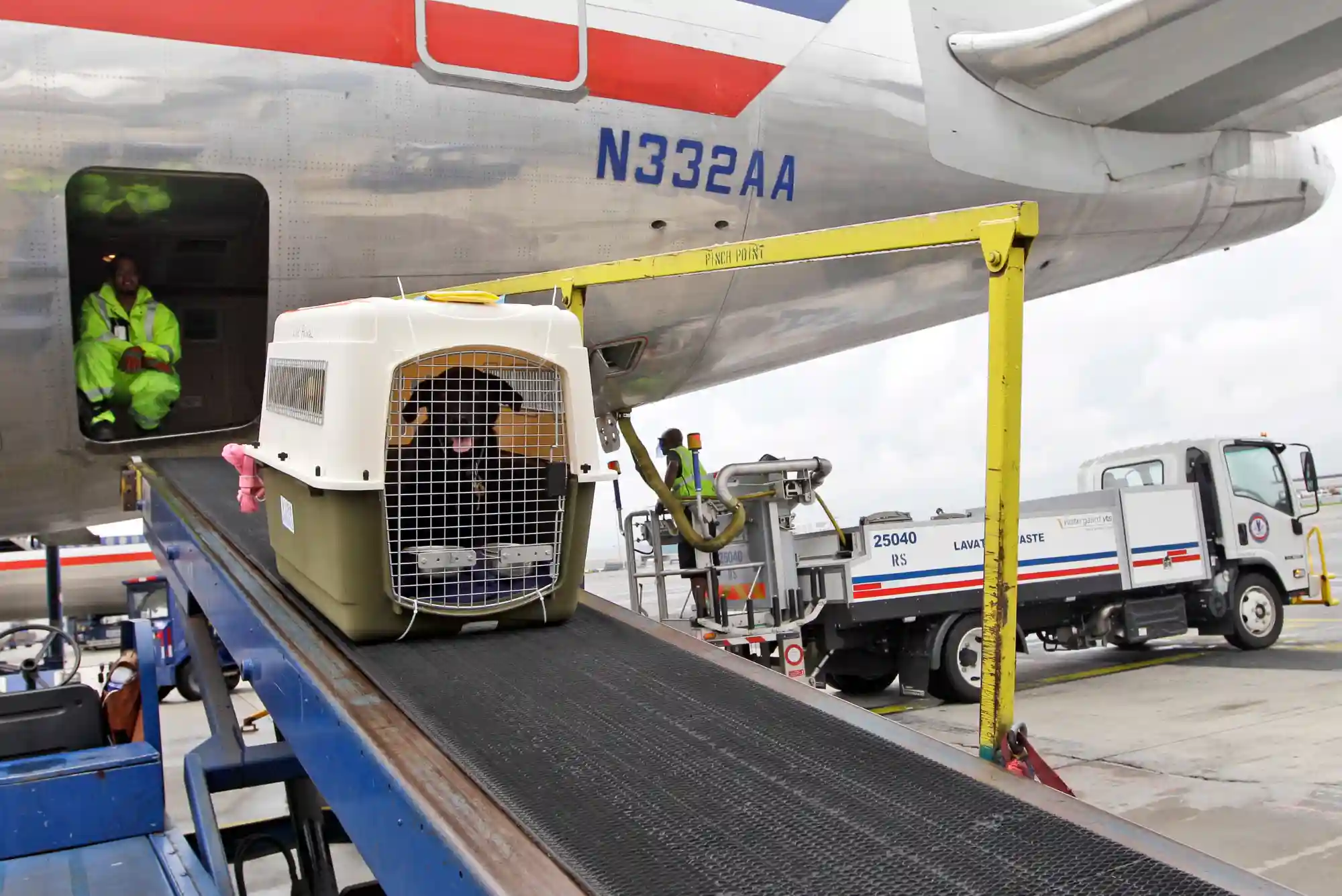 Flying with Dogs as Checked Baggage or Cargo: Temperature Embargoes and Crate Specs